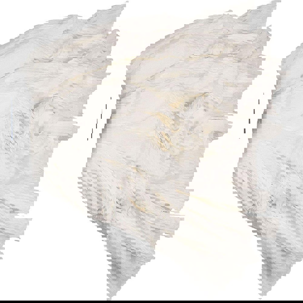 Wet Mop Cut: Clamp Jaw, White Mop, Blended Fiber